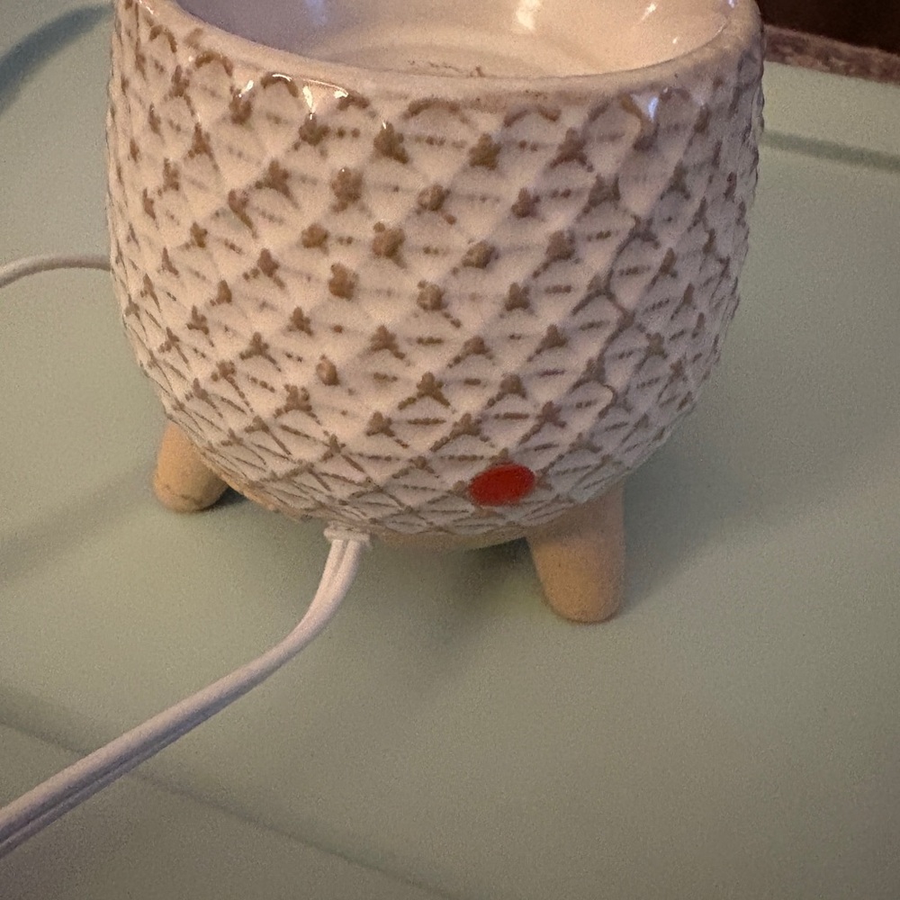 Take A Stand Scentsy Warmer - Picture 4 of 5